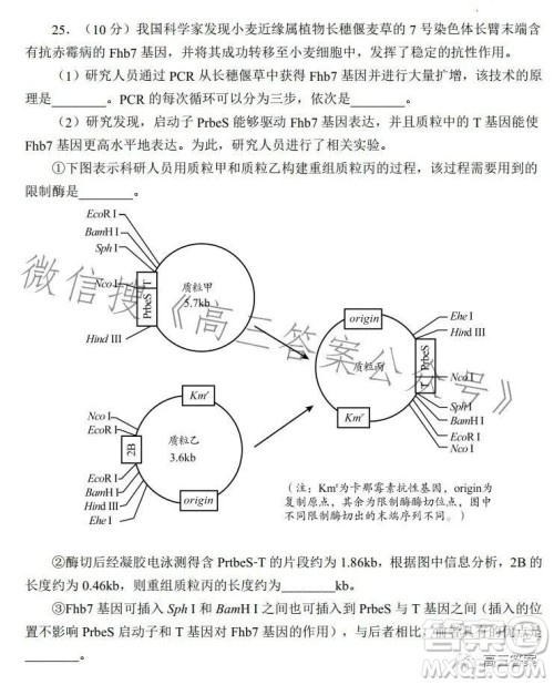 日照2021级高三上学期校际联合考试生物试卷答案
