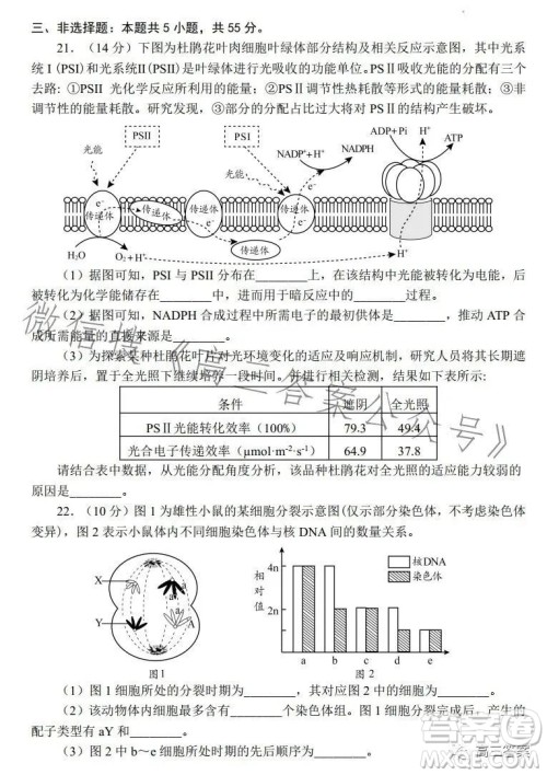 日照2021级高三上学期校际联合考试生物试卷答案