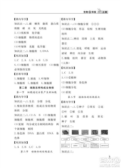 武汉出版社2023年秋智慧学习天天向上课堂作业七年级生物上册人教版参考答案 武汉出版社2023年秋智慧学习天天向上课堂作业七年级生物上册人教版参考答案