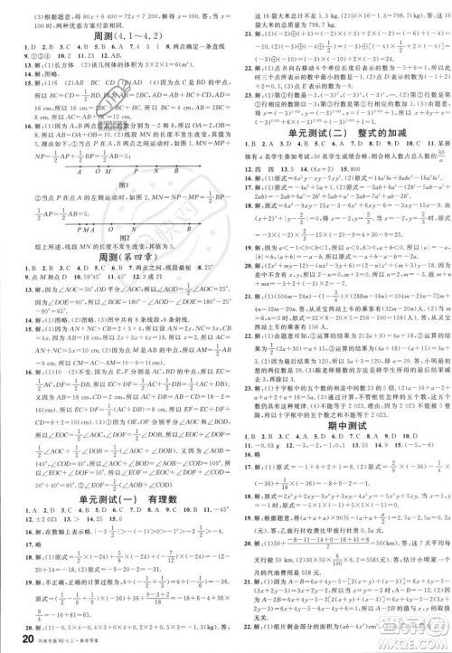 开明出版社2023年秋名校课堂七年级上册数学人教版河南专版答案 开明出版社2023年秋名校课堂七年级上册数学人教版河南专版答案