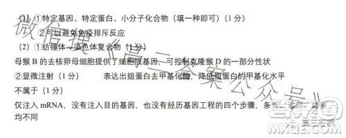 昆明市第一中学2024届高中新课标高三第一次摸底测试理科综合答案