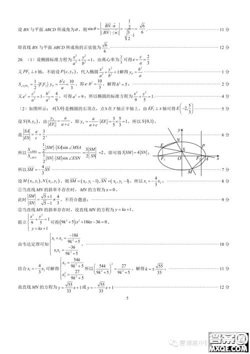 厦门一中2024届高三上学期8月月考数学试卷答案