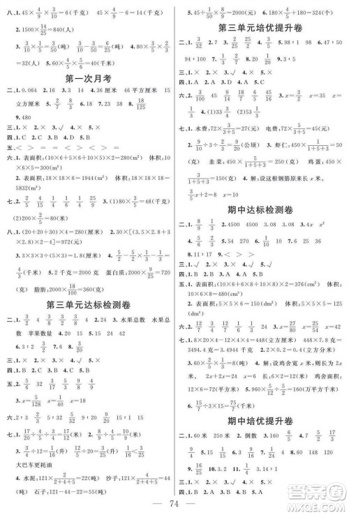 阳光出版社2023年秋名师面对面大试卷六年级数学上册苏教版参考答案
