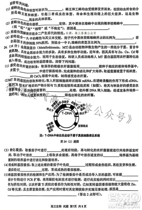 2023学年第一学期浙江省七彩阳光新高考研究联盟返校联考高三生物试题答案