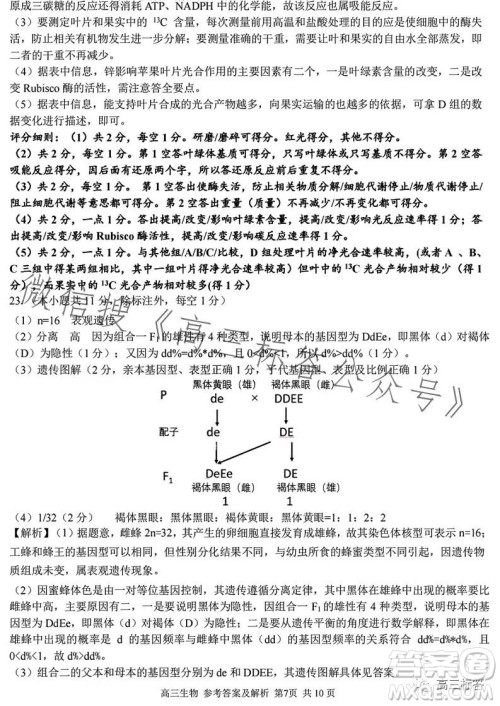 2023学年第一学期浙江省七彩阳光新高考研究联盟返校联考高三生物试题答案