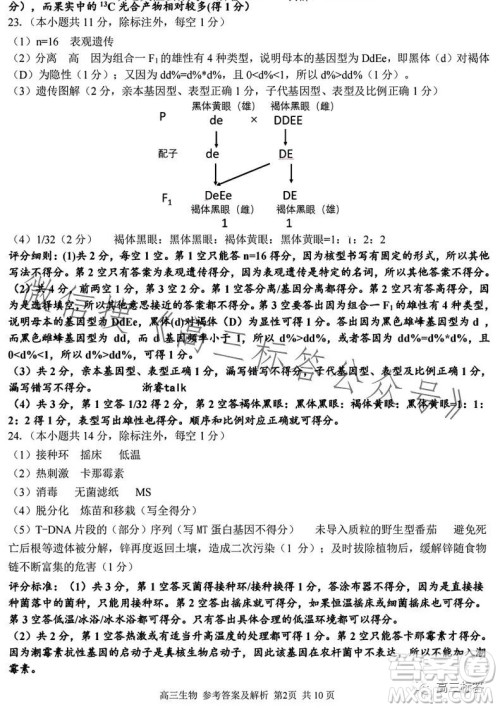 2023学年第一学期浙江省七彩阳光新高考研究联盟返校联考高三生物试题答案