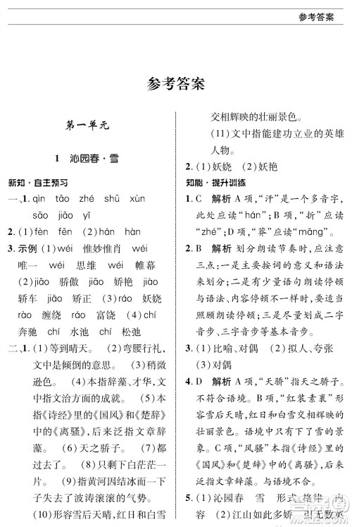 北京师范大学出版社2023年秋配套综合练习九年级语文上册人教版参考答案