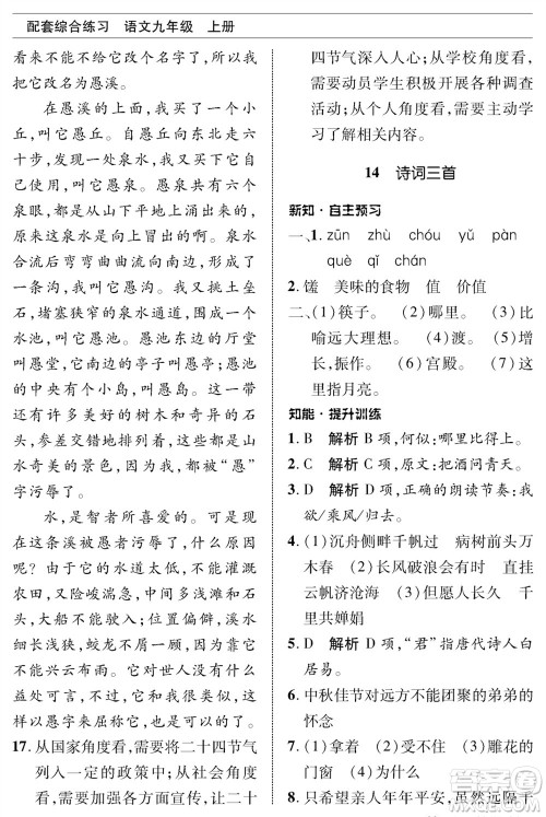 北京师范大学出版社2023年秋配套综合练习九年级语文上册人教版参考答案