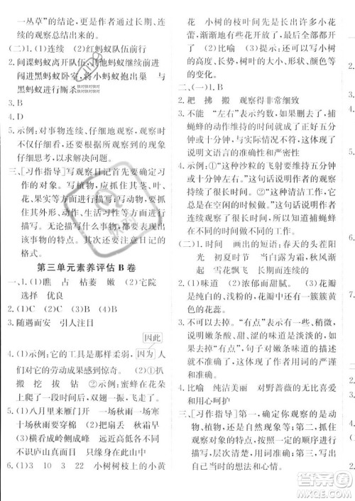 新疆青少年出版社2023年秋海淀单元测试AB卷四年级上册语文人教版答案