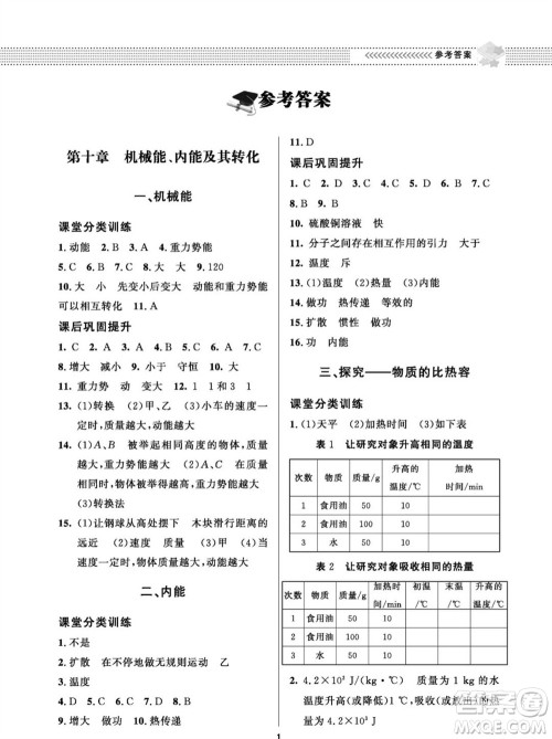 北京师范大学出版社2023年配套综合练习九年级物理全册北师大版参考答案