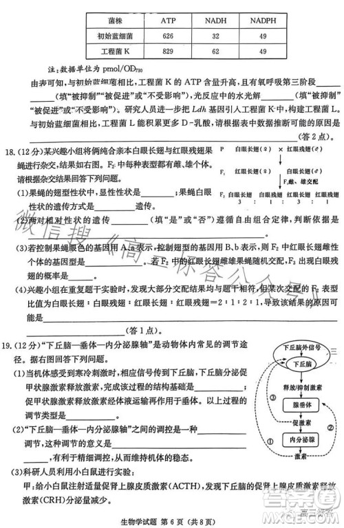炎德英才大联考2024届高三第一次质量检测生物学试卷答案