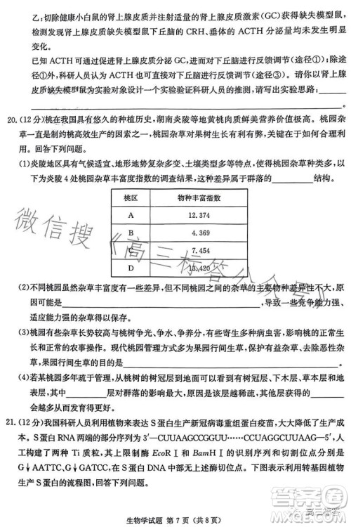 炎德英才大联考2024届高三第一次质量检测生物学试卷答案