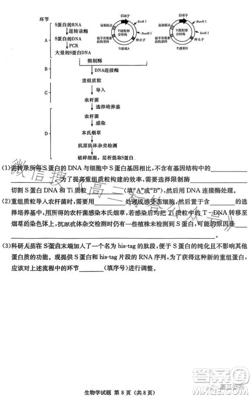 炎德英才大联考2024届高三第一次质量检测生物学试卷答案