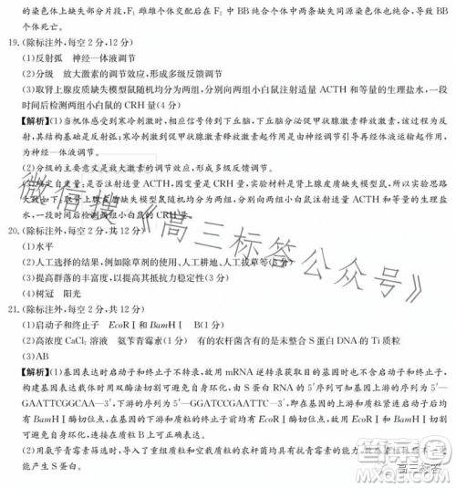 炎德英才大联考2024届高三第一次质量检测生物学试卷答案