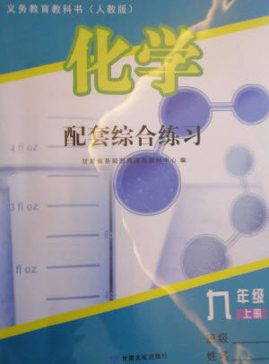 甘肃文化出版社2023年秋配套综合练习九年级化学上册人教版参考答案