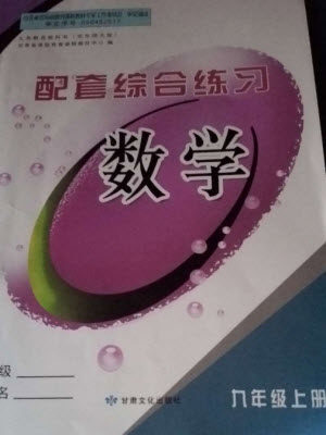甘肃文化出版社2023年秋配套综合练习九年级数学上册华师大版参考答案