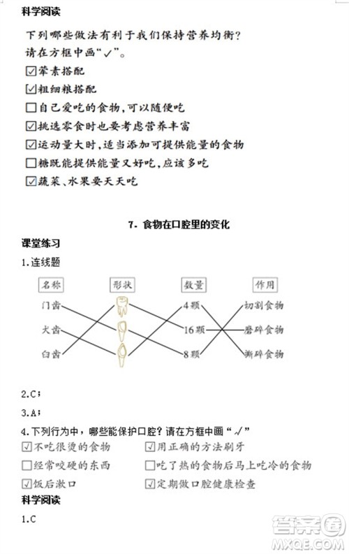 浙江教育出版社2023年秋科学作业本四年级上册教科版参考答案