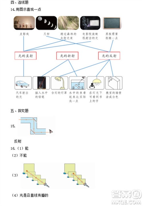 浙江教育出版社2023年秋科学作业本五年级上册教科版参考答案