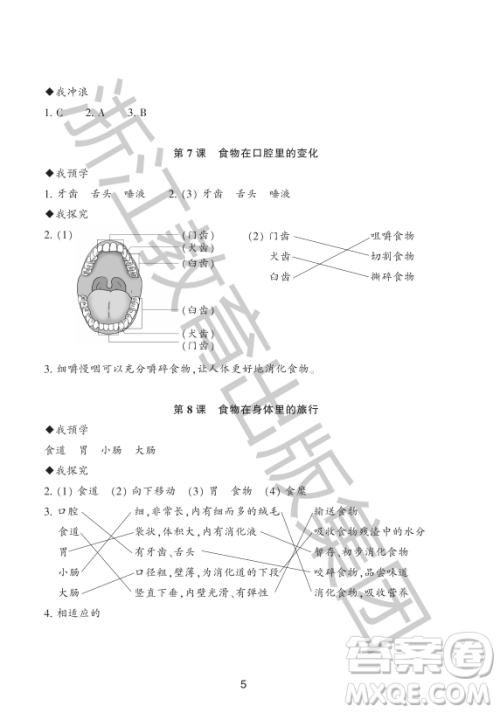 浙江教育出版社2023年秋预学与导学四年级上册科学教科版答案