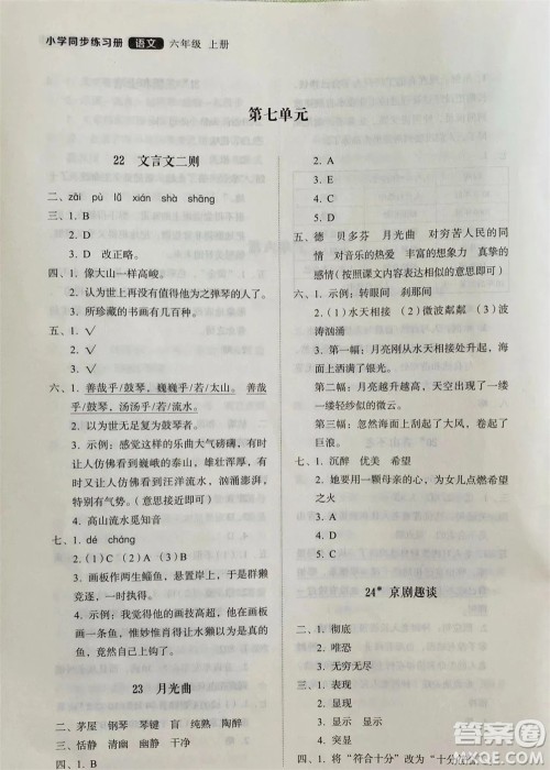 山东人民出版社2023年秋小学同步练习册六年级语文上册人教版参考答案