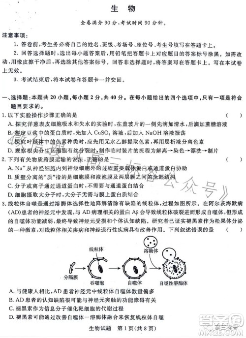 2024届普通高等学校招生全国统一考试青桐鸣大联考9月高三生物试卷答案