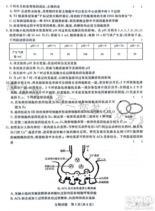 2024届普通高等学校招生全国统一考试青桐鸣大联考9月高三生物试卷答案