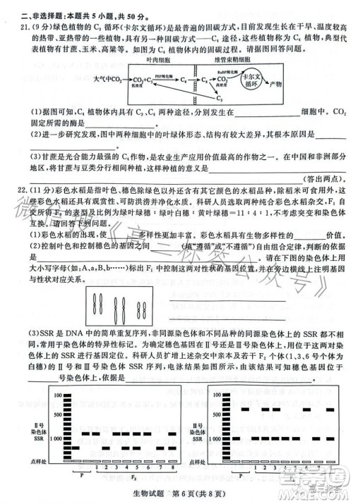 2024届普通高等学校招生全国统一考试青桐鸣大联考9月高三生物试卷答案