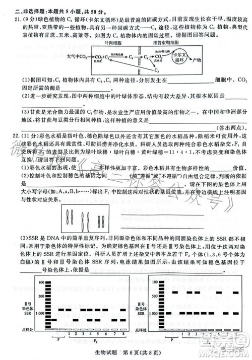 2024届普通高等学校招生全国统一考试青桐鸣大联考9月高三生物试卷答案 2024届普通高等学校招生全国统一考试青桐鸣大联考9月高三生物试卷答案