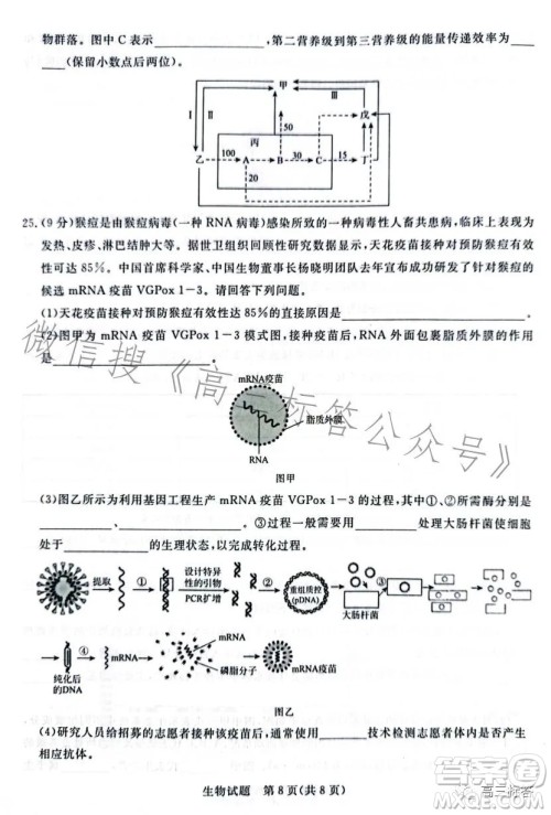 2024届普通高等学校招生全国统一考试青桐鸣大联考9月高三生物试卷答案 2024届普通高等学校招生全国统一考试青桐鸣大联考9月高三生物试卷答案