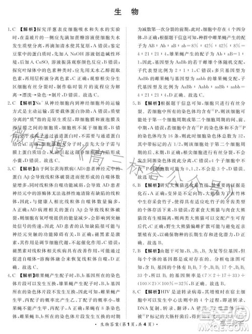 2024届普通高等学校招生全国统一考试青桐鸣大联考9月高三生物试卷答案 2024届普通高等学校招生全国统一考试青桐鸣大联考9月高三生物试卷答案
