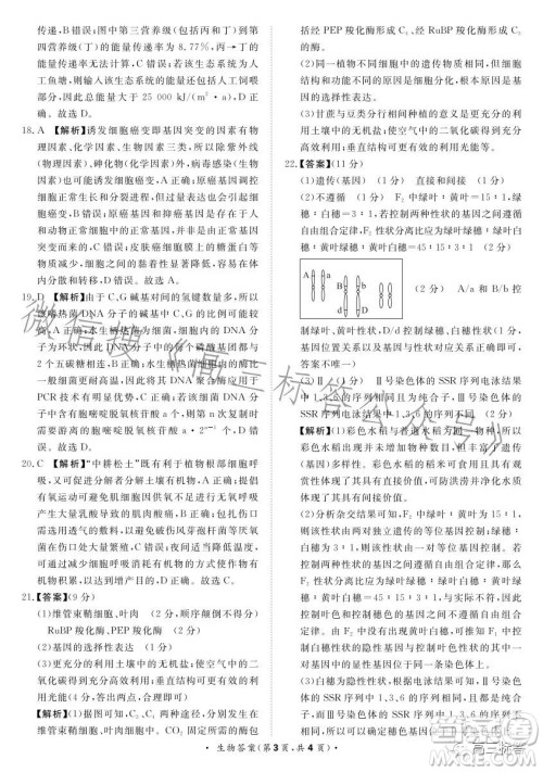 2024届普通高等学校招生全国统一考试青桐鸣大联考9月高三生物试卷答案