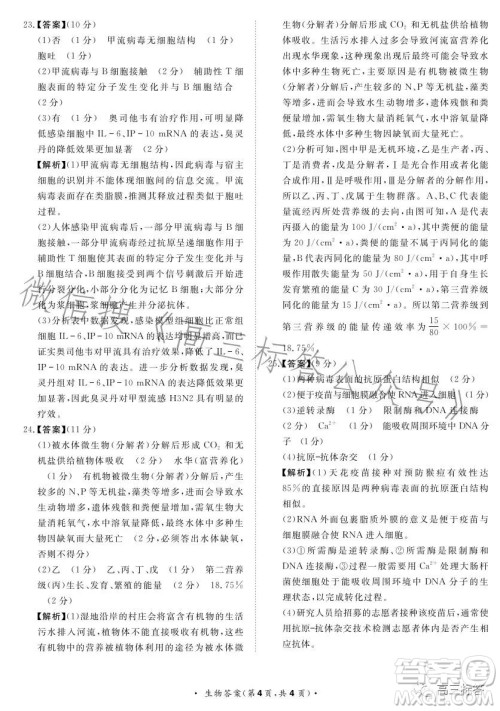 2024届普通高等学校招生全国统一考试青桐鸣大联考9月高三生物试卷答案 2024届普通高等学校招生全国统一考试青桐鸣大联考9月高三生物试卷答案
