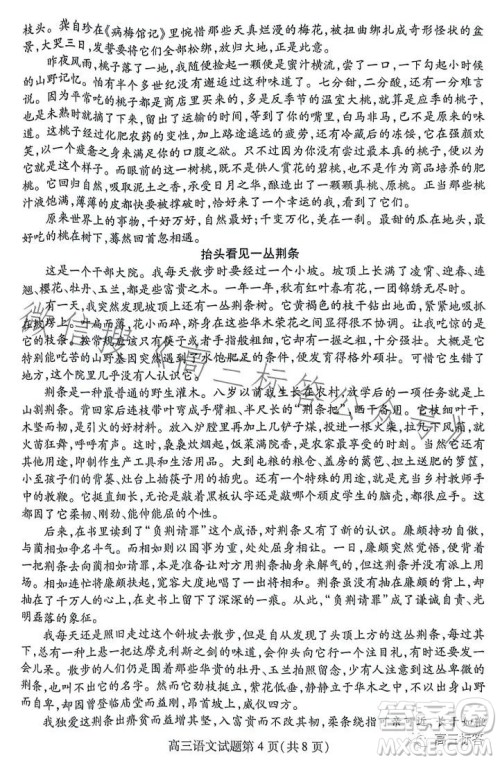 2024山东新高考联合质量测评9月联考高三语文试题答案 2024山东新高考联合质量测评9月联考高三语文试题答案