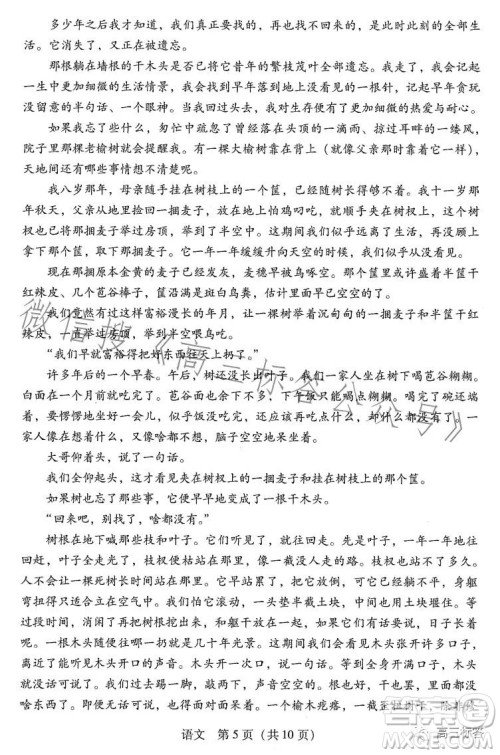 广东省2024届普通高中毕业班第一次调研考试语文试卷答案