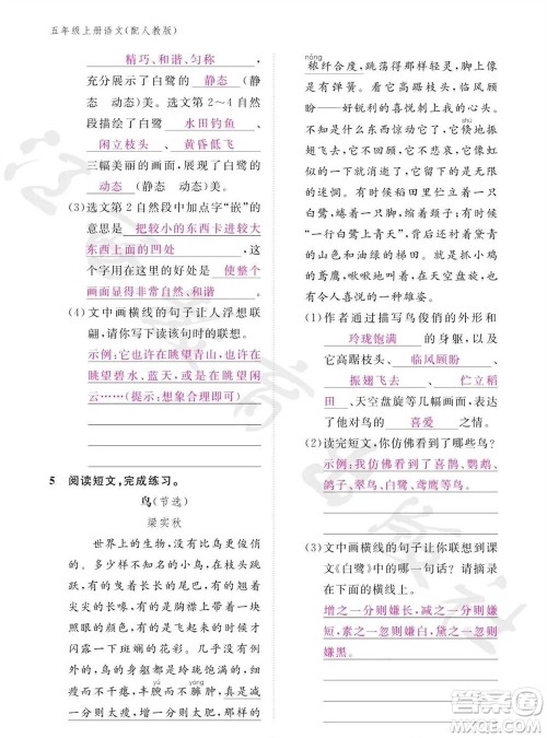 江西教育出版社2023年秋语文作业本五年级上册人教版参考答案 江西教育出版社2023年秋语文作业本五年级上册人教版参考答案