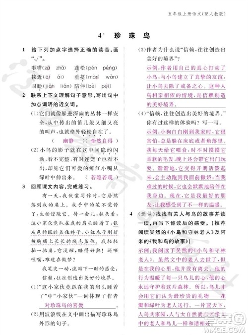 江西教育出版社2023年秋语文作业本五年级上册人教版参考答案 江西教育出版社2023年秋语文作业本五年级上册人教版参考答案