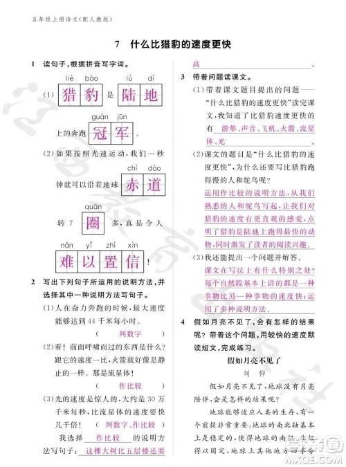 江西教育出版社2023年秋语文作业本五年级上册人教版参考答案 江西教育出版社2023年秋语文作业本五年级上册人教版参考答案