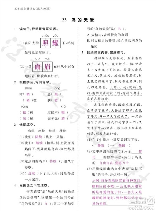 江西教育出版社2023年秋语文作业本五年级上册人教版参考答案 江西教育出版社2023年秋语文作业本五年级上册人教版参考答案