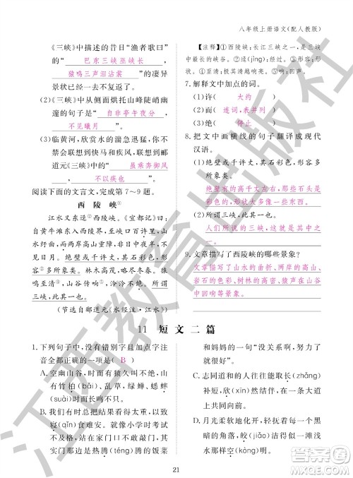 江西教育出版社2023年秋语文作业本八年级上册人教版参考答案