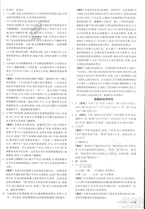 天津人民出版社2023年秋全品作业本八年级语文上册通用版陕西专版答案