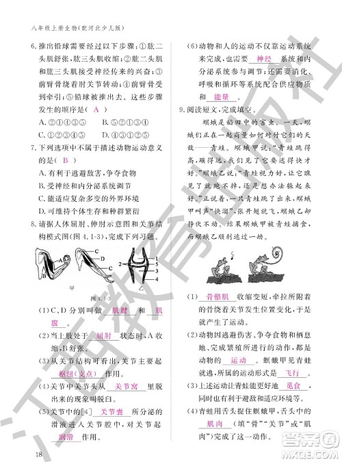 江西教育出版社2023年秋生物作业本八年级上册冀少版参考答案
