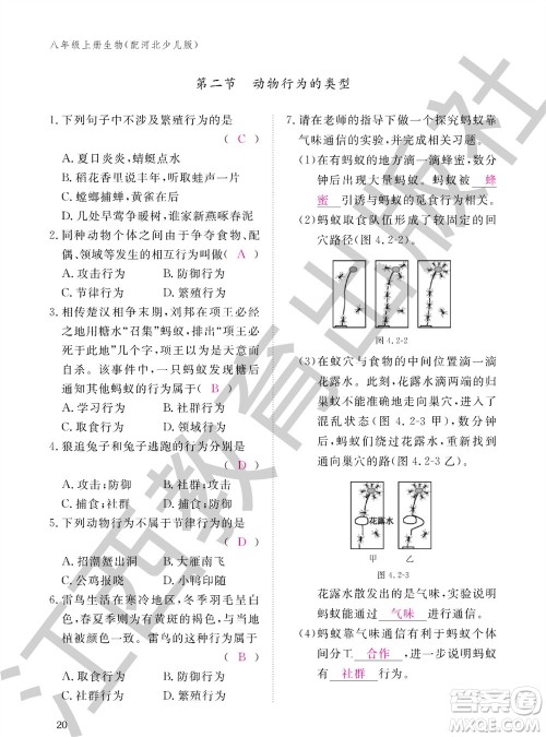 江西教育出版社2023年秋生物作业本八年级上册冀少版参考答案