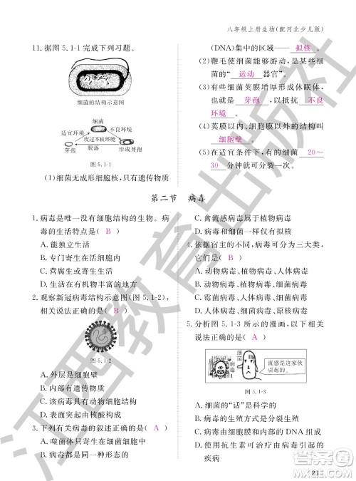 江西教育出版社2023年秋生物作业本八年级上册冀少版参考答案