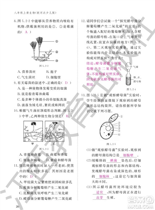 江西教育出版社2023年秋生物作业本八年级上册冀少版参考答案