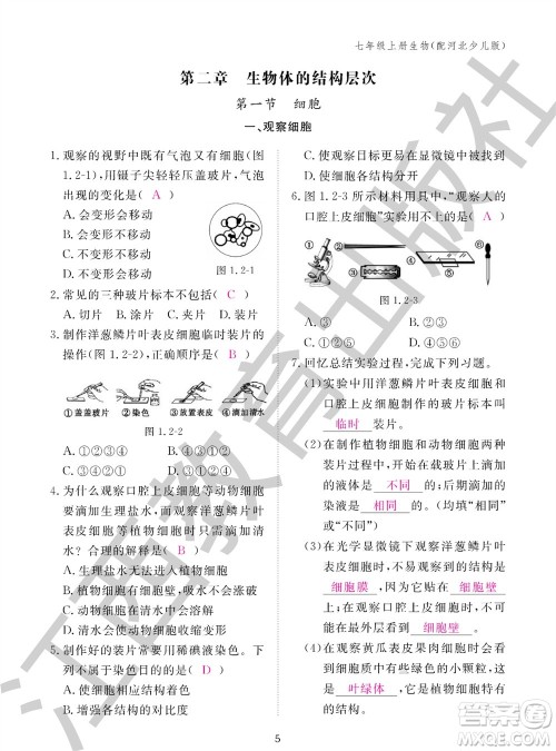 江西教育出版社2023年秋生物作业本七年级上册冀少版参考答案