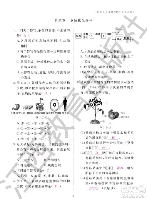 江西教育出版社2023年秋生物作业本七年级上册冀少版参考答案