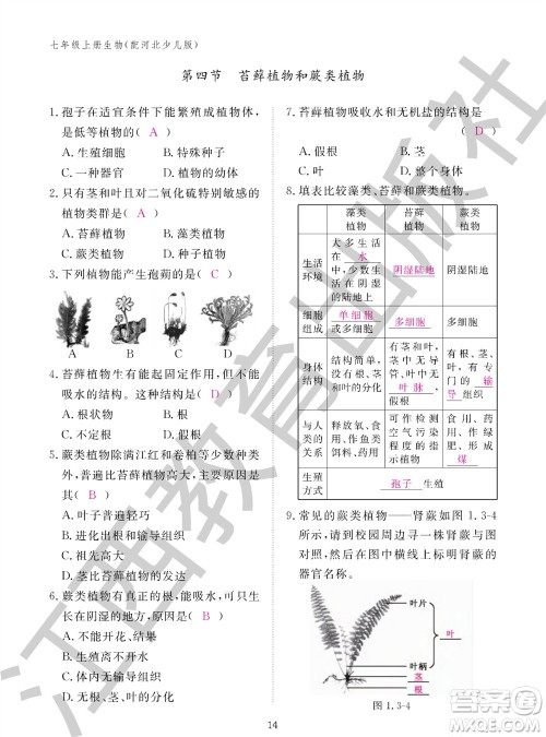 江西教育出版社2023年秋生物作业本七年级上册冀少版参考答案