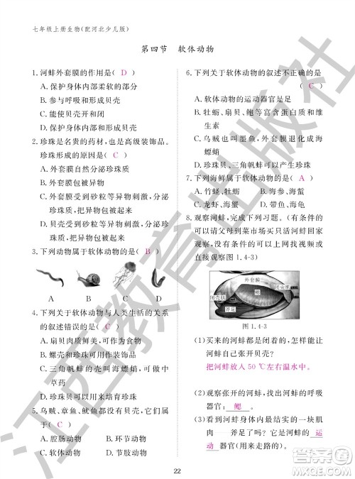 江西教育出版社2023年秋生物作业本七年级上册冀少版参考答案