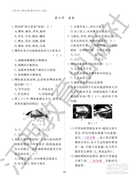 江西教育出版社2023年秋生物作业本七年级上册冀少版参考答案