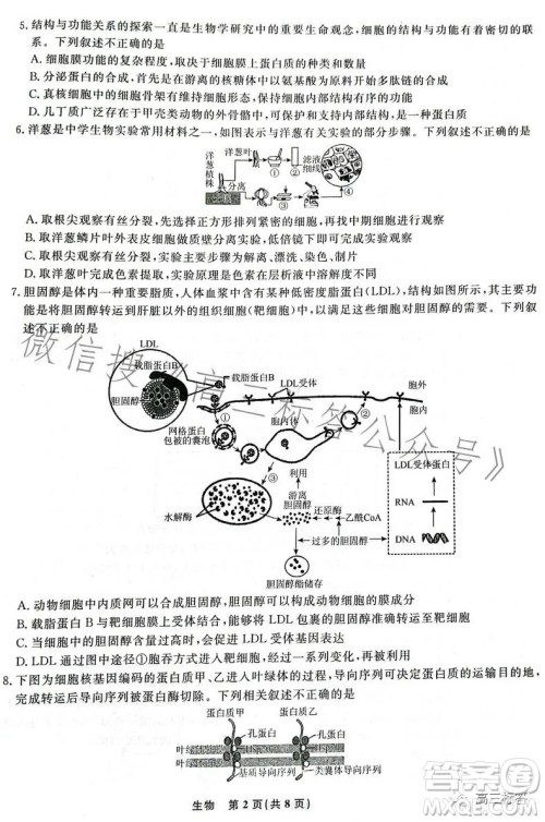 辽宁省名校联盟2023年高三9月份联合考试生物试卷答案 辽宁省名校联盟2023年高三9月份联合考试生物试卷答案